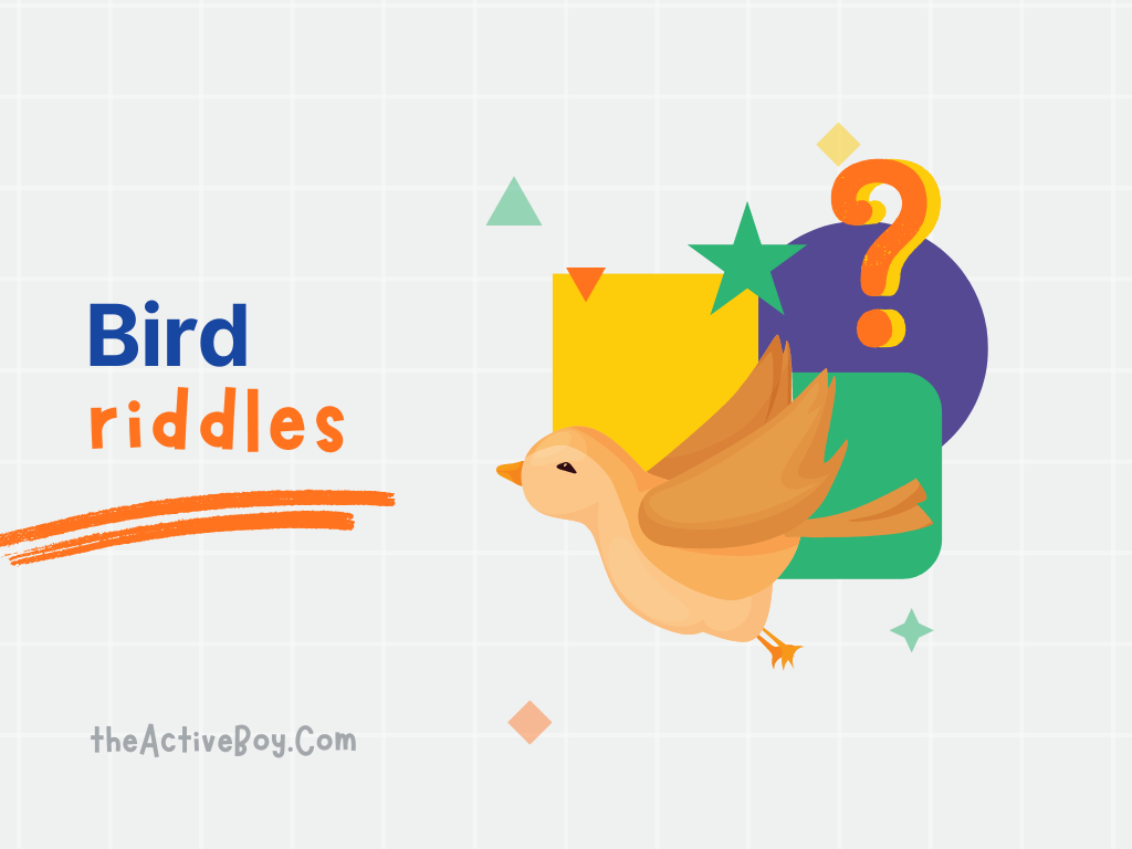 Bird Riddles Starfall 100+ Bird Riddles That You Will Love and enjoy to Solve